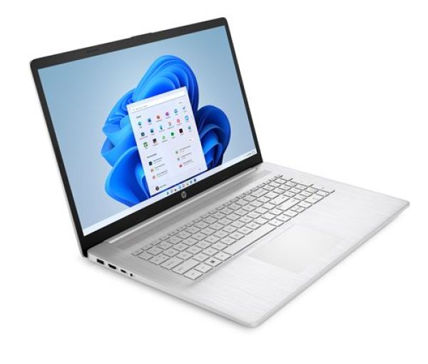 PC portable HP 17-cp2007nf 17,3" AMD Ryzen™ 5 16 Go RAM 512 Go SSD Argent Naturel