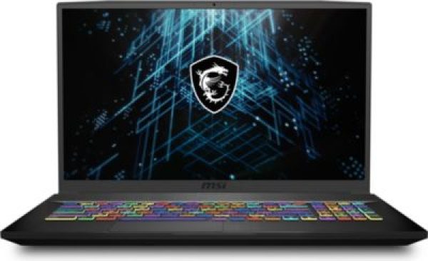 PC Gamer MSI GF75 Thin 10UEK-035FR